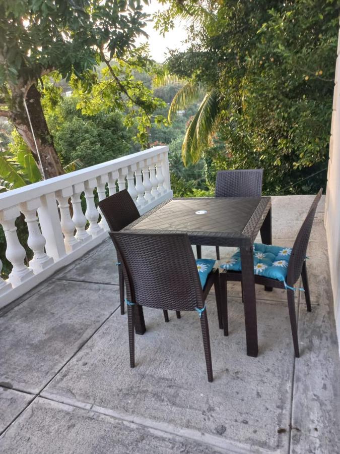 Hotel Red Hassell Manor à Port Antonio Extérieur photo